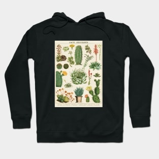 Floral Cacti Succelents Hoodie